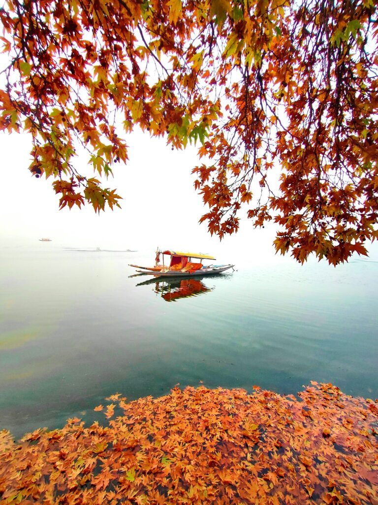 Dal lake with shikara in autumn